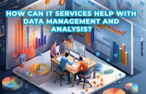 How can IT services help with data management and analysis?
